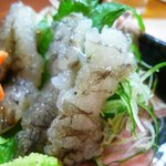 広起 - 光輝く生蝦蛄（2011年2月24日）