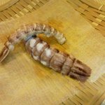 よし佳 - しゃこ