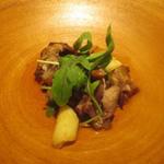 イル アオヤマ - 養老・すっぽん
      胡瓜/ルコラ