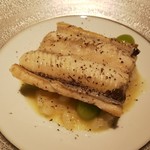 イル アオヤマ - 