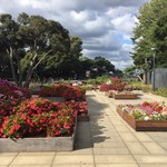 LONCAFE - サムエルコッキング苑