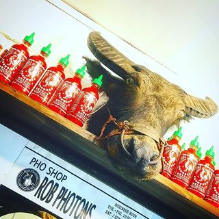 2時間飲み放題 女性限定 ベトナムウォッカもパクチーハイボールも飲み放題 人気ベトナム料理7品の女子会コース ロブ フォートンズ Rob Photons 本八戸 ベトナム料理 食べログ 2時間飲み放題 女性限定 ベトナムウォッカもパクチーハイボールも飲み放題 人気ベトナム料理7品の女子会コース ロブ フォートンズ Rob Photons 本八戸 ベトナム料理 食べログ