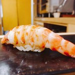 鮨 はしもと - 2017.8.  車海老