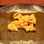 緒方 - 天草産 赤雲丹の昆布〆