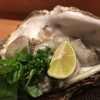 炭Kappo hirac - 