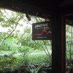 ムスタッシュ - ムスタッシュ玄関.