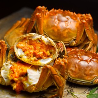 Let's go eat Shanghai crab, which is in season now.