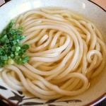 73008063 - かけうどん