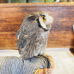 パクチーバル 8889 - アフリカオオコノハズクの「トト」