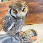 パクチーバル 8889 - アフリカオオコノハズクの「トト」