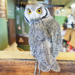 パクチーバル 8889 - アフリカオオコノハズクの「トト」