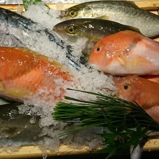 ゆず地鶏 魚介専門店 かん家_2