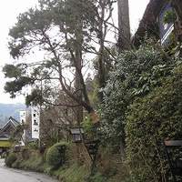 うかい鳥山 - 