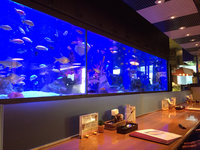 写真 4ページ目 : シーフードレストラン メヒコ 東京ベイ有明店 (seafoods restaurant MEXICO) - 国際展示場 ...