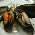 パポッキオ - 凄い立派なムール貝