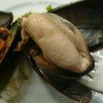 パポッキオ - ムール貝のオス