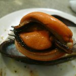 パポッキオ - ムール貝のメス