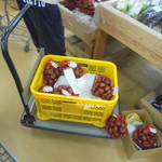 農産物直売所 こだま館 - 栗は安くて旨い