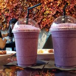 Nicolai Bergmann NOMU - 