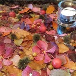 Nicolai Bergmann NOMU - 