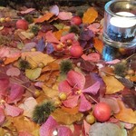 Nicolai Bergmann NOMU - 