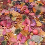 Nicolai Bergmann NOMU - 