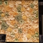 Nicolai Bergmann NOMU - 