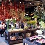 Nicolai Bergmann NOMU - 