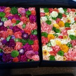 Nicolai Bergmann NOMU - 