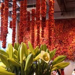 Nicolai Bergmann NOMU - 