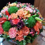 Nicolai Bergmann NOMU - 