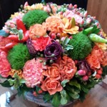 Nicolai Bergmann NOMU - 