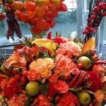 Nicolai Bergmann NOMU - 