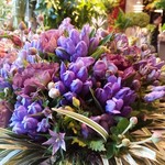 Nicolai Bergmann NOMU - 