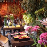 Nicolai Bergmann NOMU - 