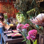 Nicolai Bergmann NOMU - 