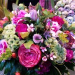 Nicolai Bergmann NOMU - 