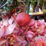 Nicolai Bergmann NOMU - 