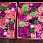 Nicolai Bergmann NOMU - 