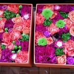 Nicolai Bergmann NOMU - 