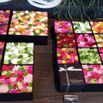 Nicolai Bergmann NOMU - 