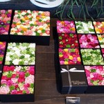 Nicolai Bergmann NOMU - 