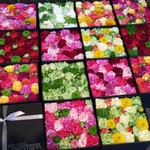 Nicolai Bergmann NOMU - 