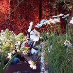 Nicolai Bergmann NOMU - 