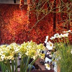 Nicolai Bergmann NOMU - 