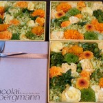 Nicolai Bergmann NOMU - 