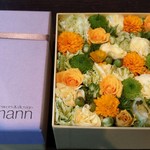 Nicolai Bergmann NOMU - 