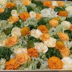 Nicolai Bergmann NOMU - 