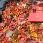 Nicolai Bergmann NOMU - 