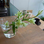 カフェ・ドン バイ スフェラ - 